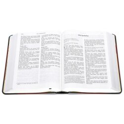 Schlachter 2000 Bibel, Großdruckausgabe, Softcover, grau/braun