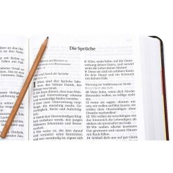 Schlachter 2000 Bibel, Großdruckausgabe, Softcover, grau/braun