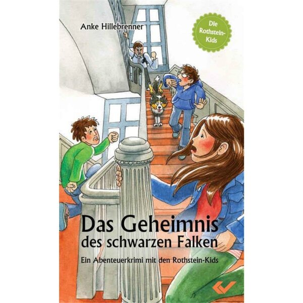 Das Geheimnis des schwarzen Falken - Anke Hillebrenner