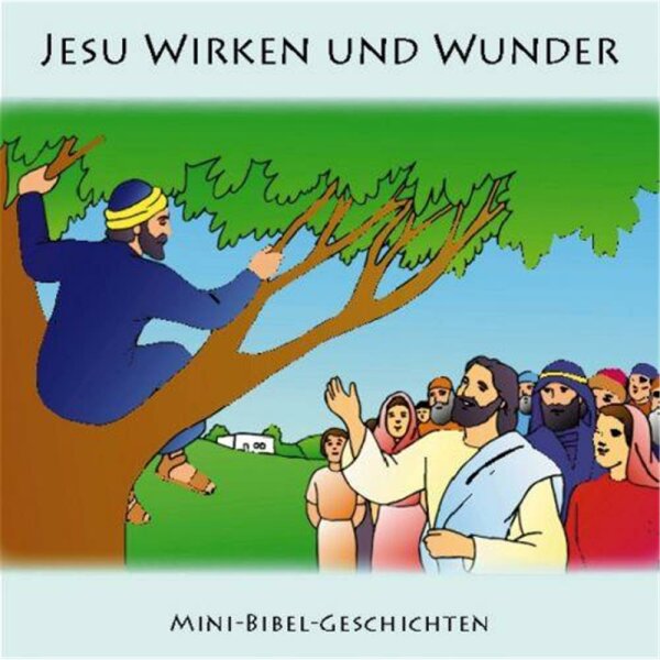 Jesu Wirken und Wunder