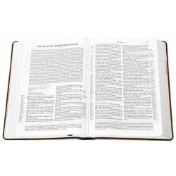 Schlachter 2000 Bibel Standardausgabe - Softcover,...