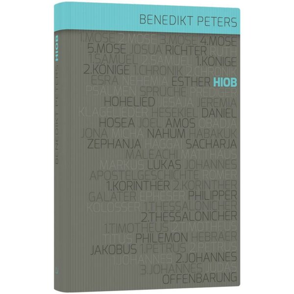 Kommentar zum Buch Hiob - Benedikt Peters