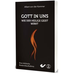 Gott in uns - Wie der Heilige Geist wirkt - Albert von der Kammer