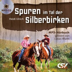 Spuren im Tal der Silberbirken - Heidi Ulrich - MP3