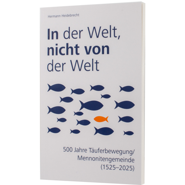 In der Welt nicht von der Welt - Hermann Heidebrecht