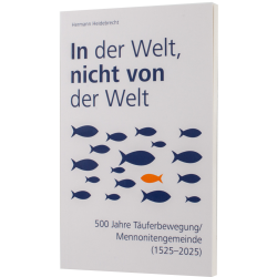 In der Welt nicht von der Welt - Hermann Heidebrecht