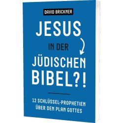 Buchcover, Jesus in der jüdischen Bibel, David...
