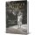 Buchcover: von Elisabeth Elliot – Jahre des Wachsens von Ellen Vaughn - Hardcover