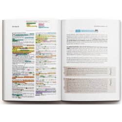 Dive In! - Vom Wissen zum Tun im Bibelstudium - Nate Bramsen