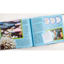 Das Klima im Wandel - Jessica Deford, Ken Ham