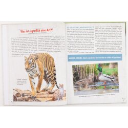 Wie viele Tiere waren in der Arche? - Craig Froman