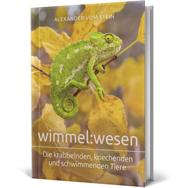 Hardcover Buch - Schöpfung vs. Evolution: wimmel:wesen - Alexander vom Stein - Bildband