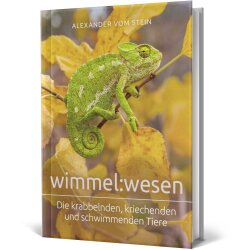 Theologische Apologetik Bildband - wimmel:wesen -...